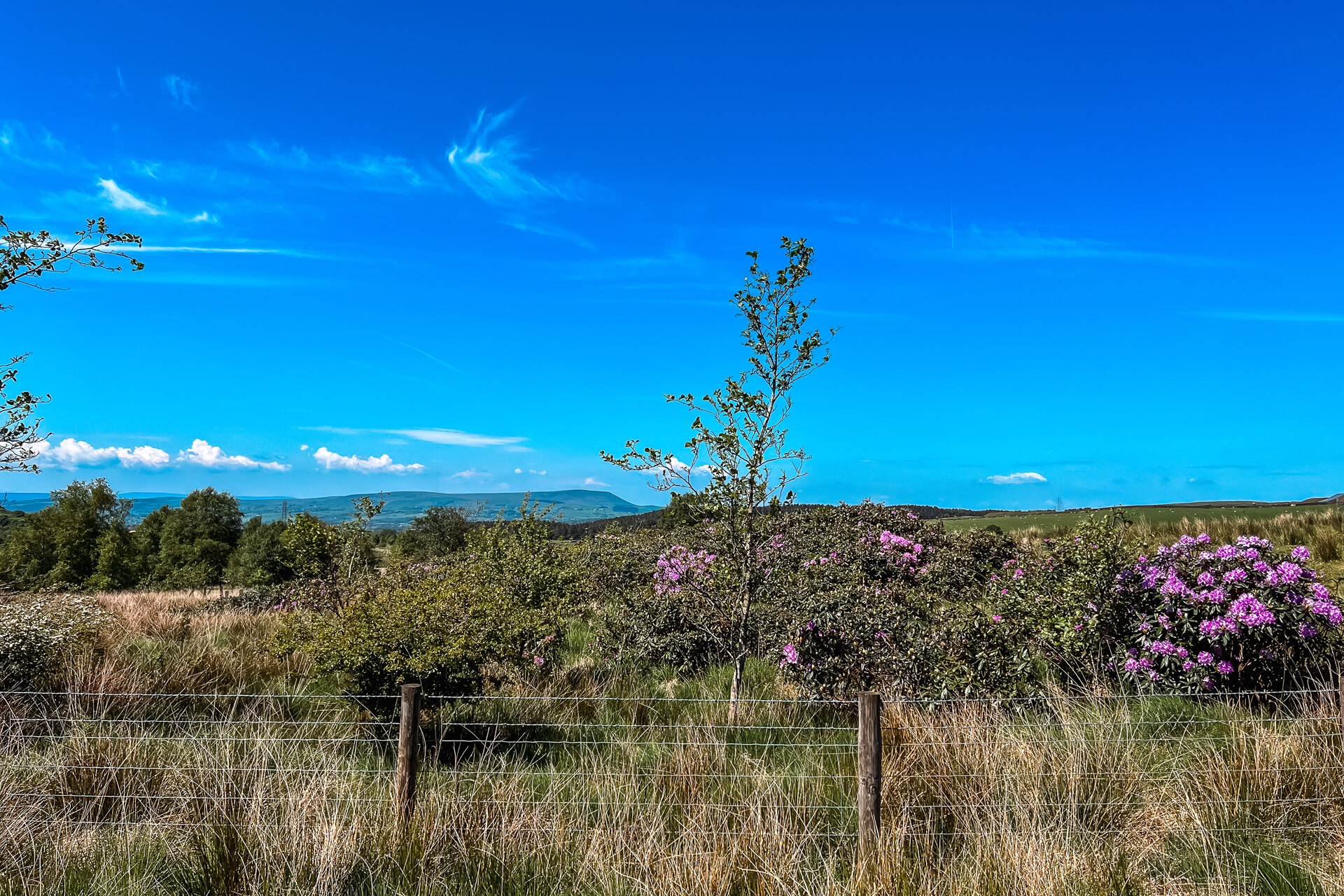Pendle-Hill